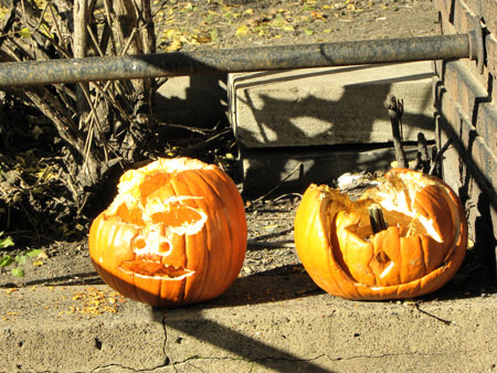 rotting pumpkin