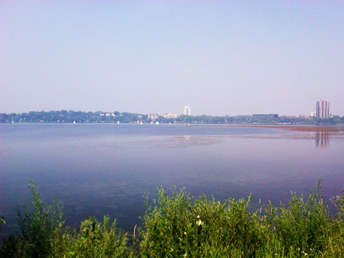 rottweiler lake calhoun