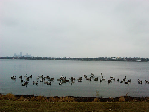 Lake Calhoun