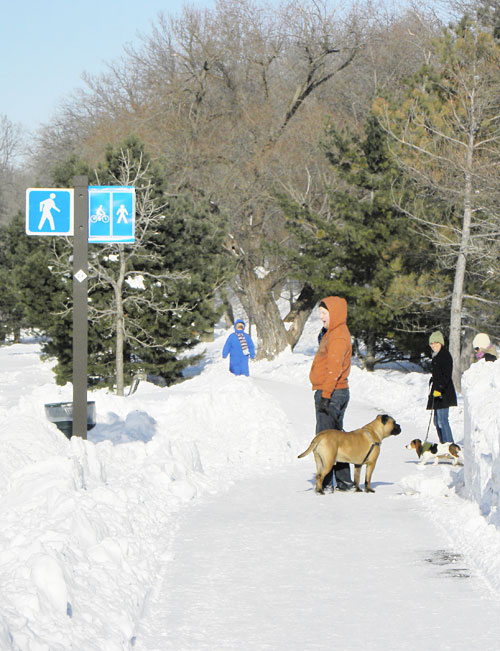 dog walk lake calhoun