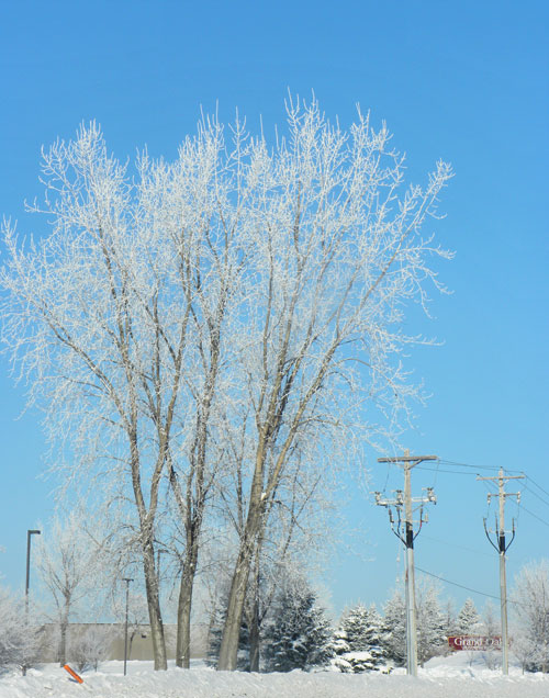 hoar frost