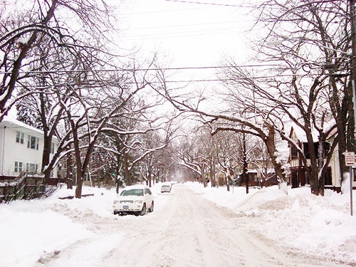 Minneapolis Winter