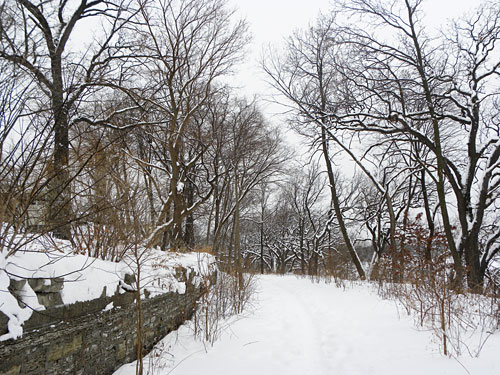 Minneapolis Winter