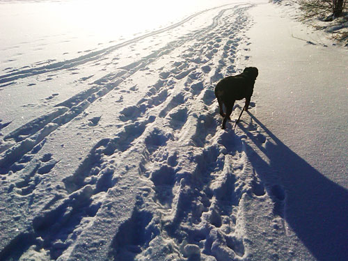 Minneapolis Winter