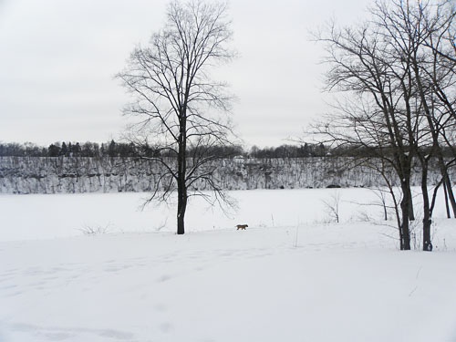 Minneapolis Winter Snow