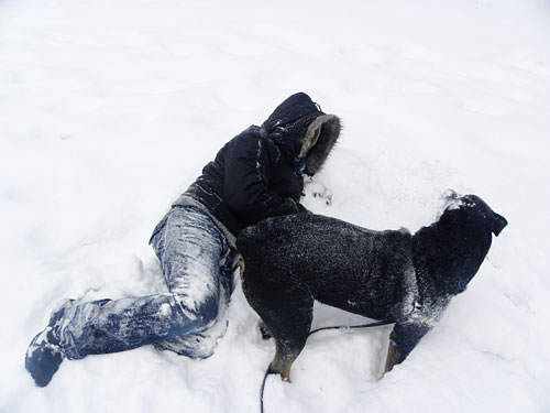 Minneapolis Winter Snow