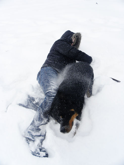 Minneapolis Winter Snow