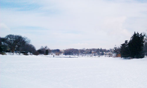 Minneapolis Winter