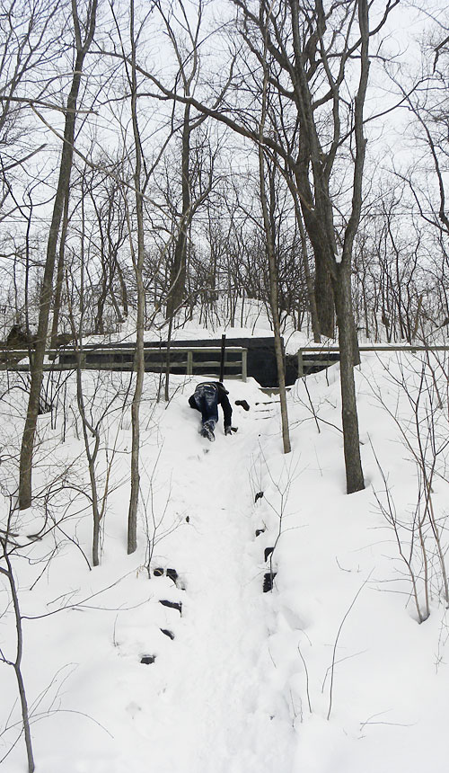 Minneapolis Winter pictures