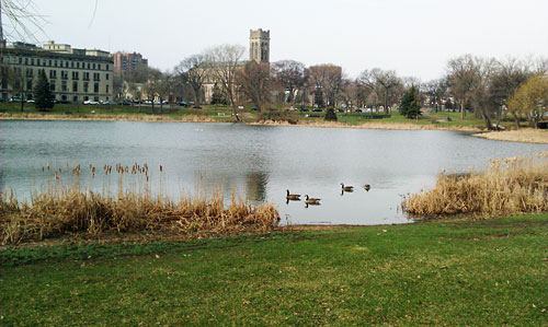 Loring Park Spring Minneapolis