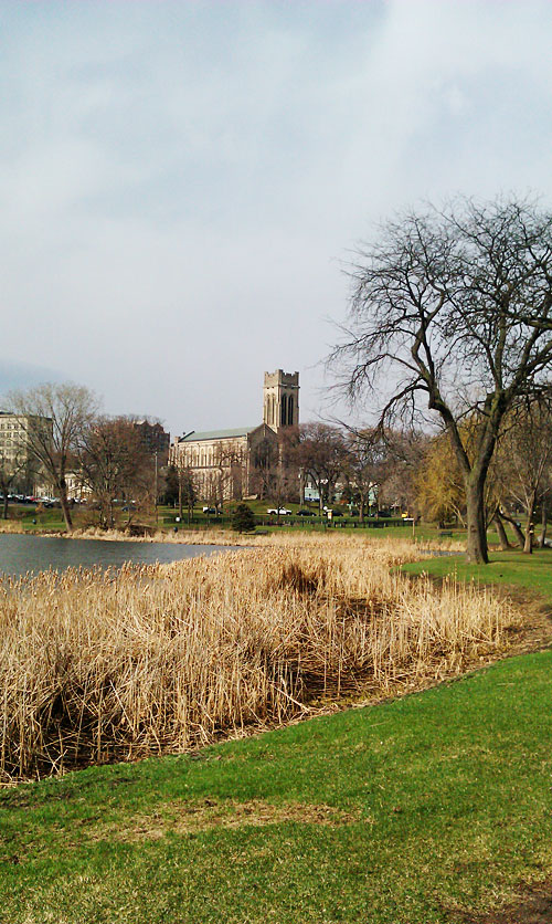 Loring Park Spring Minneapolis