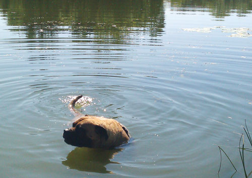 Lake of the Isles