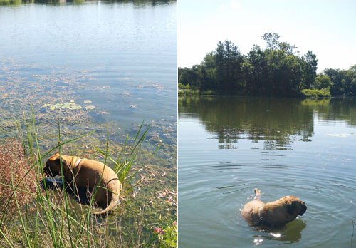 Lake of the Isles