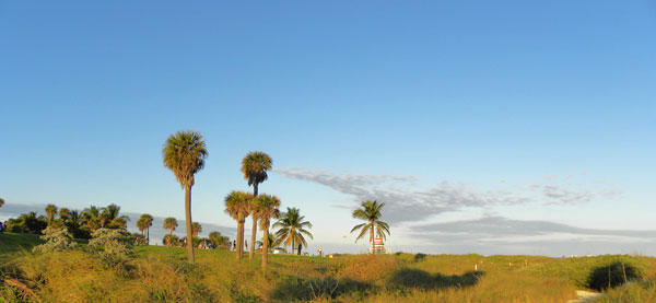 Miami Beach