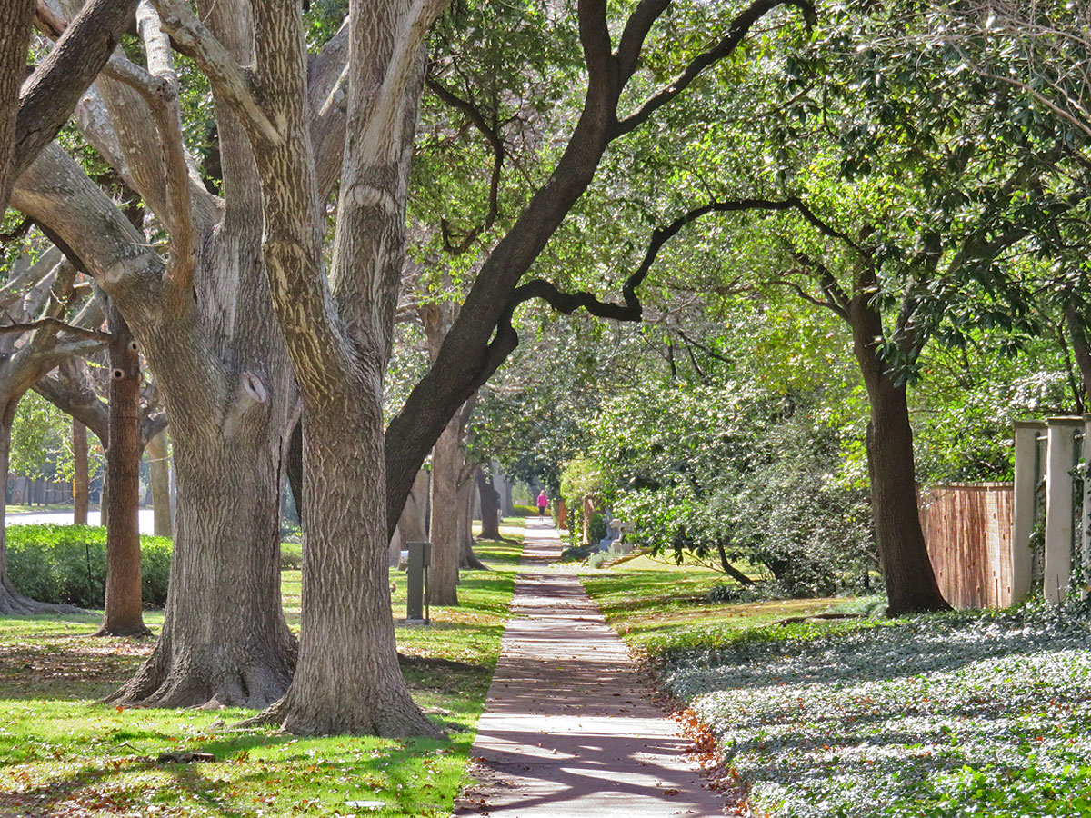 Highland Park Spring