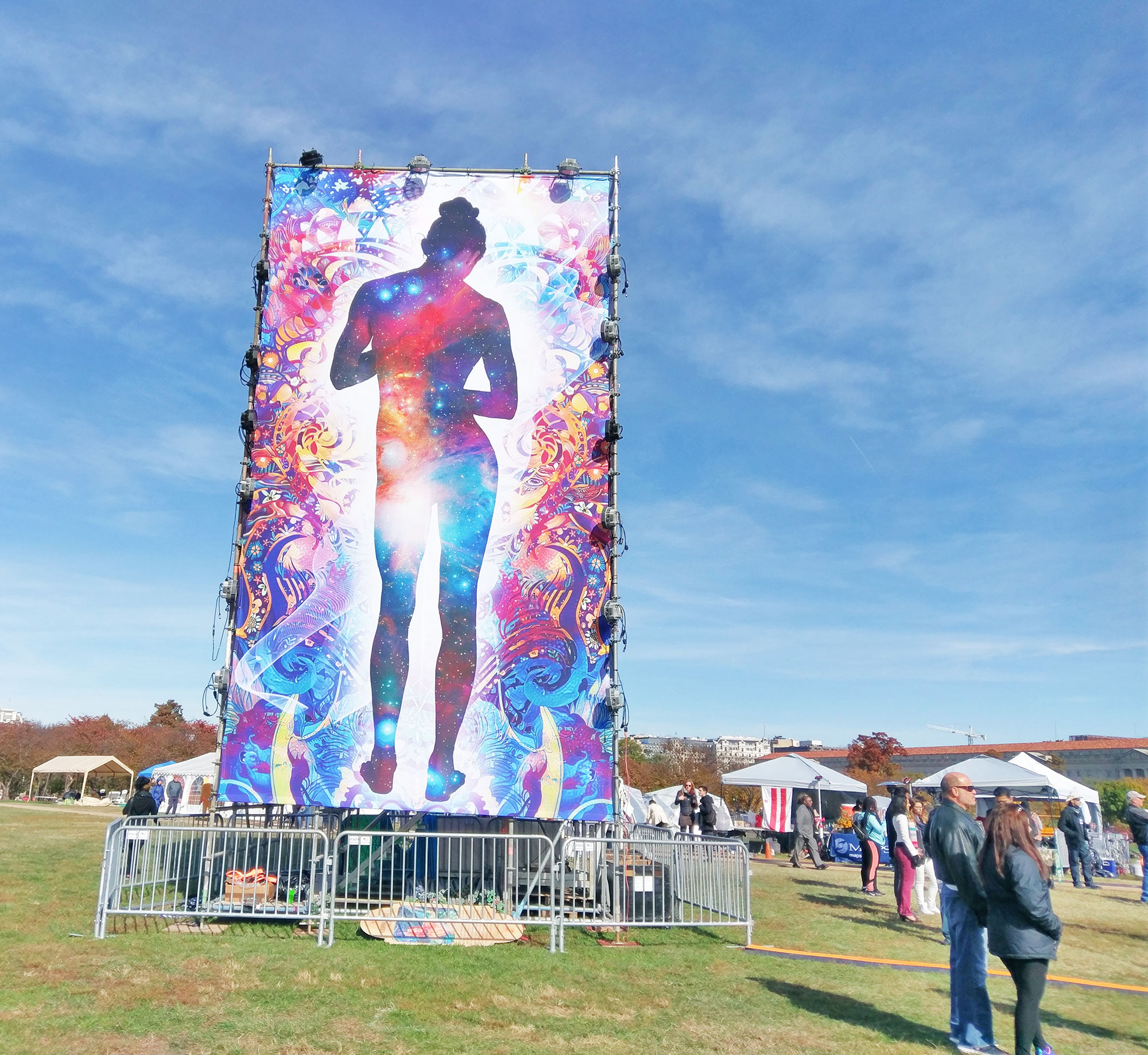 Catharsis on the Mall in Washington. D.C.