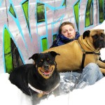 Andrew Halverson bullmastiff and rottweiler in snow