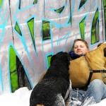 Andrew Halverson bullmastiff and rottweiler in snow