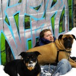 Andrew Halverson bullmastiff in snow