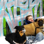 Andrew Halverson bullmastiff in snow