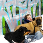 Andrew Halverson bullmastiff in snow