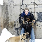 Andrew Halverson, Bullmastiff, and a Rottweiler