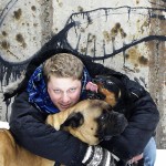 Andrew Halverson, Bullmastiff, and a Rottweiler