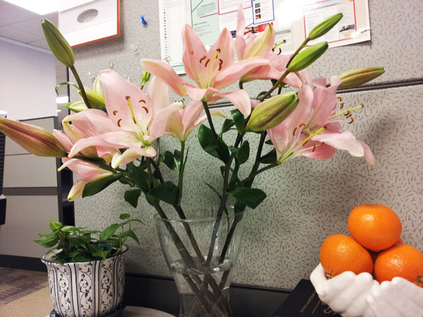 Bringing fresh flowers to the office.