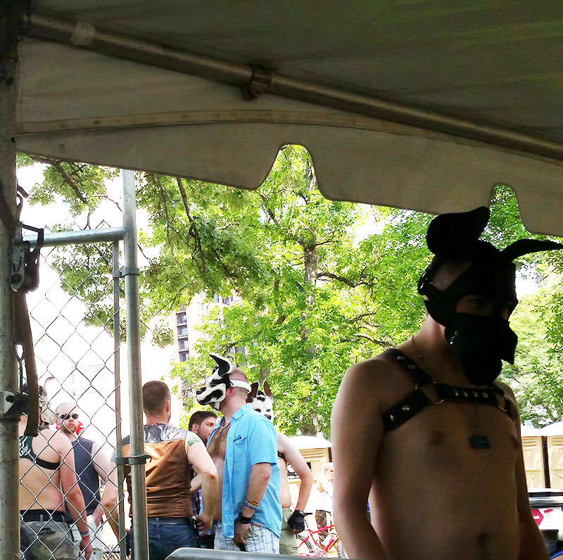 Leather Puppy at Minneapolis Pride