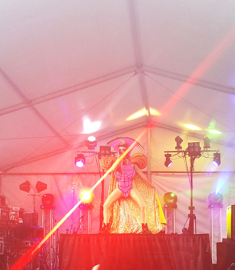 Peaches Performing at Twin Cities Pride