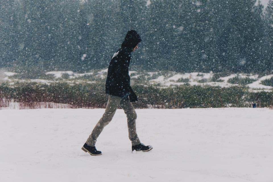 A walk through the snow by Wil Stewart via Stocksnap