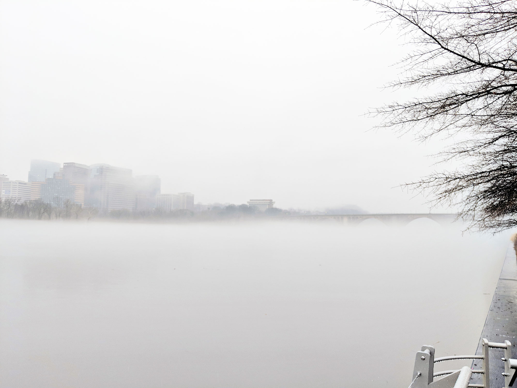 The Georgetown Waterfront on a rainy and foggy afternoon (with a view of the Kennedy Center.)