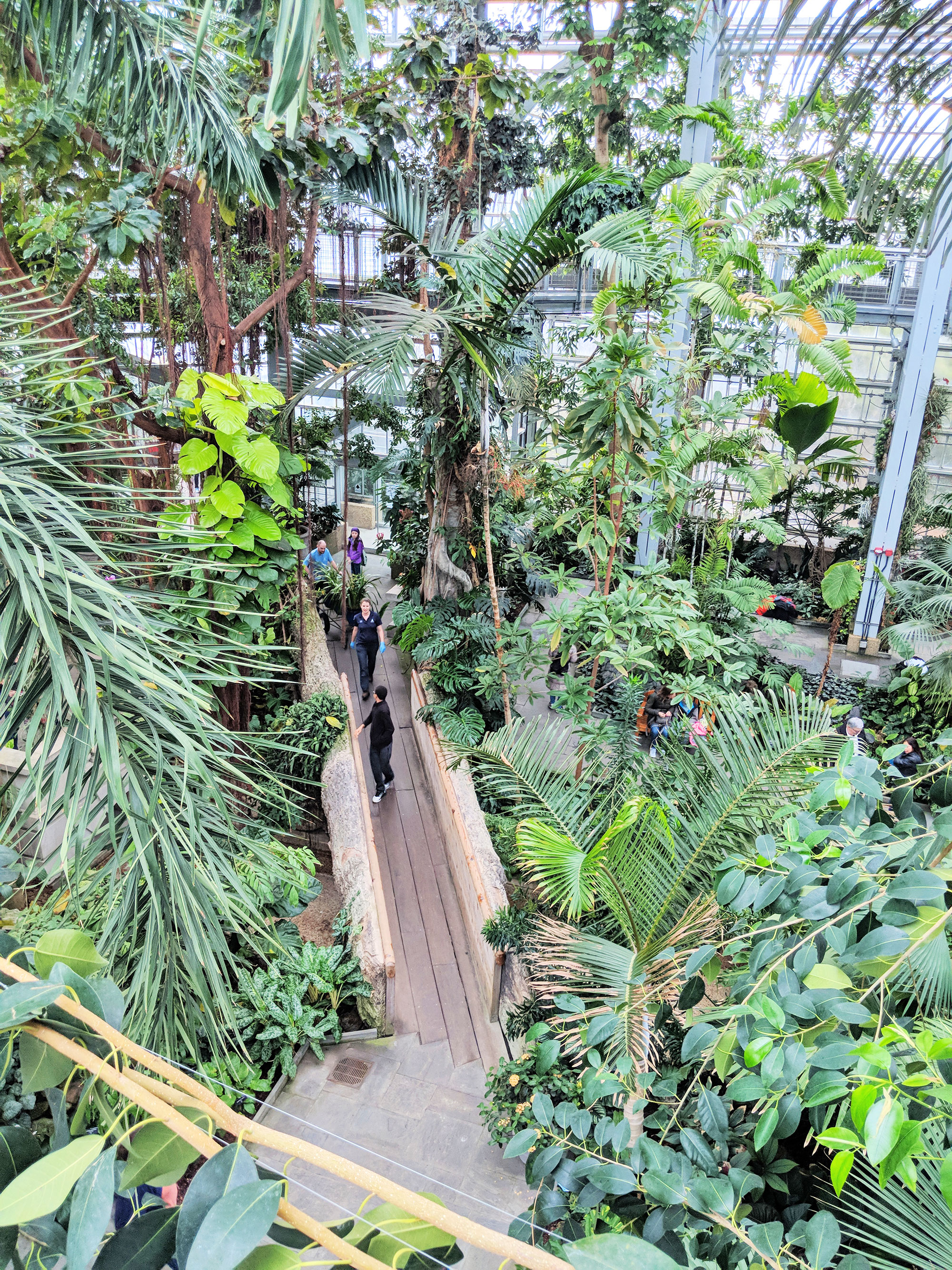 The tropical room of the U.S. Botanic Garden on the National Mall.