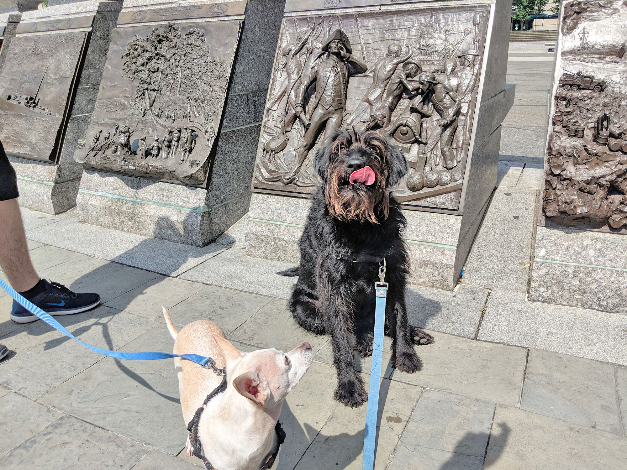 The dogs at the U.S. Navy Memorial.