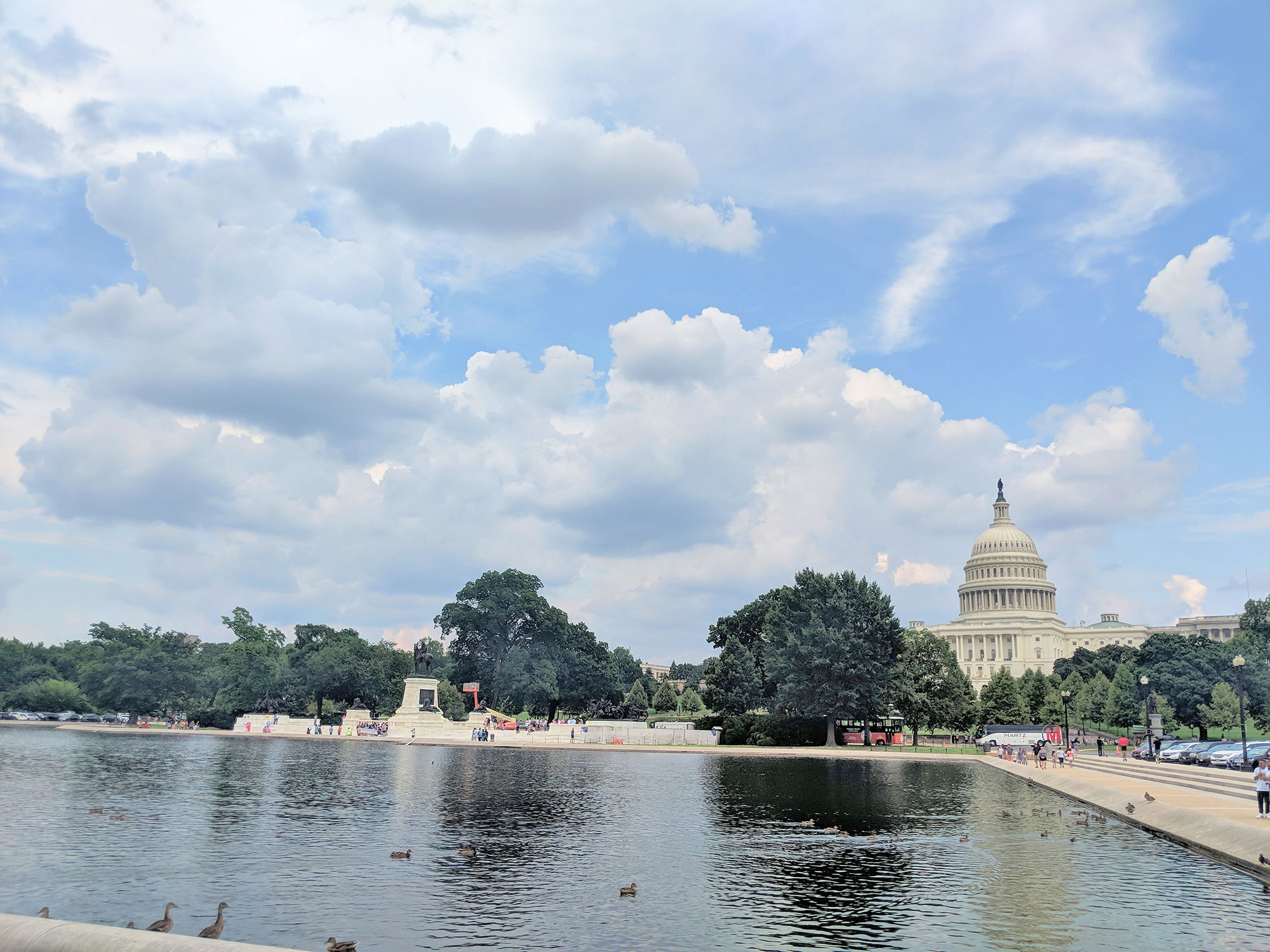 The U.S. Capitol's reflecting pool, and plenty of ducks.