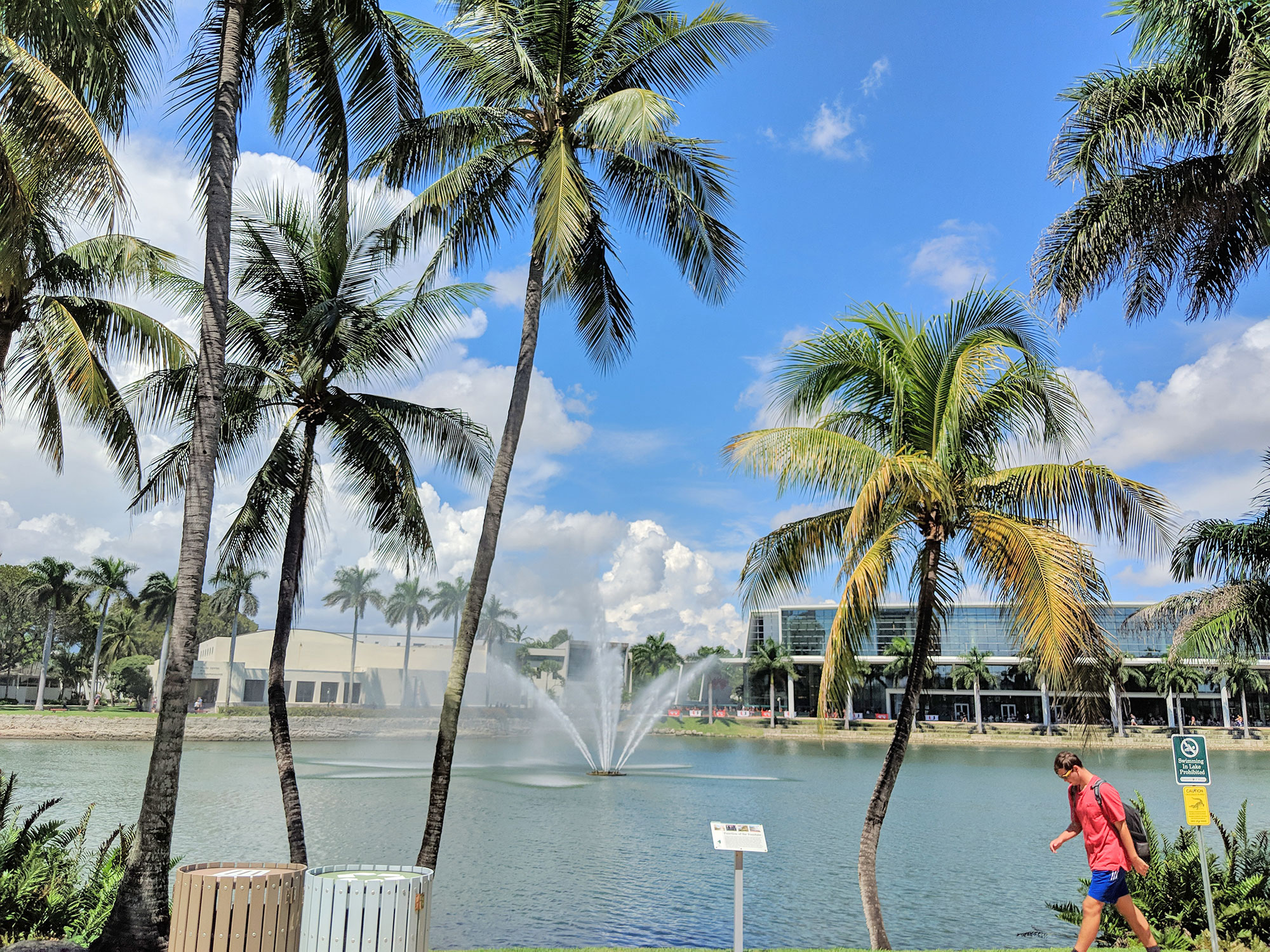 University of Miami campus lake.