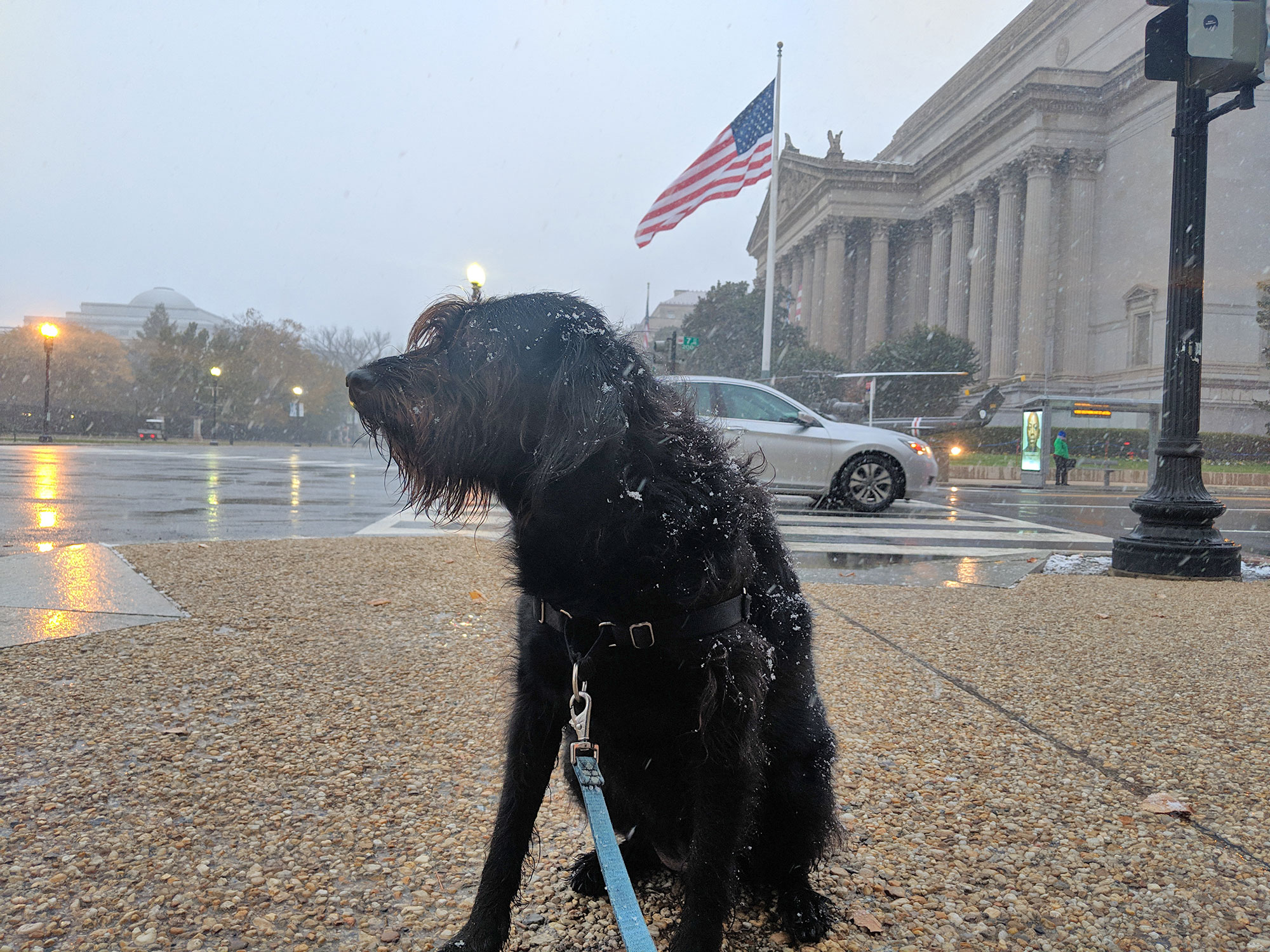 Ingrid during a snow storm by the National Archives building in Washington D.C.