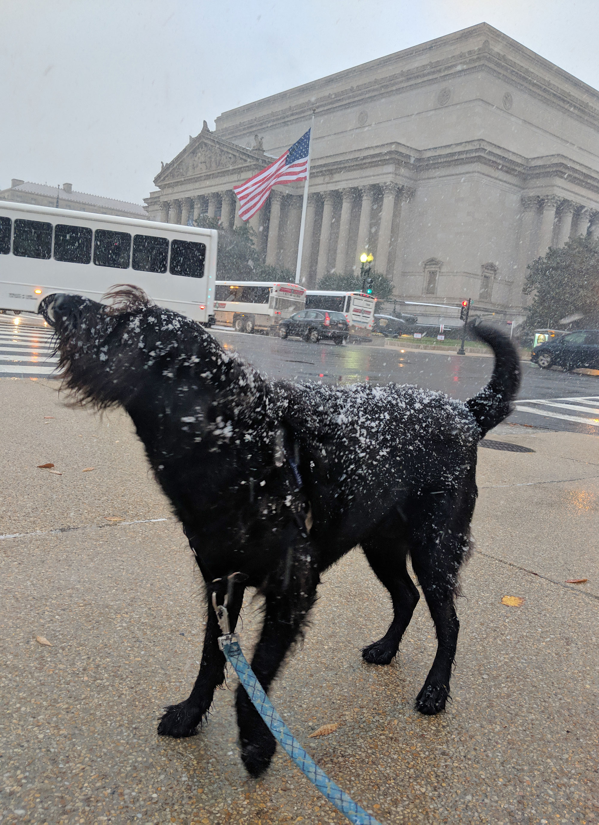 Ingrid during a snow storm by the National Archives building in Washington D.C.