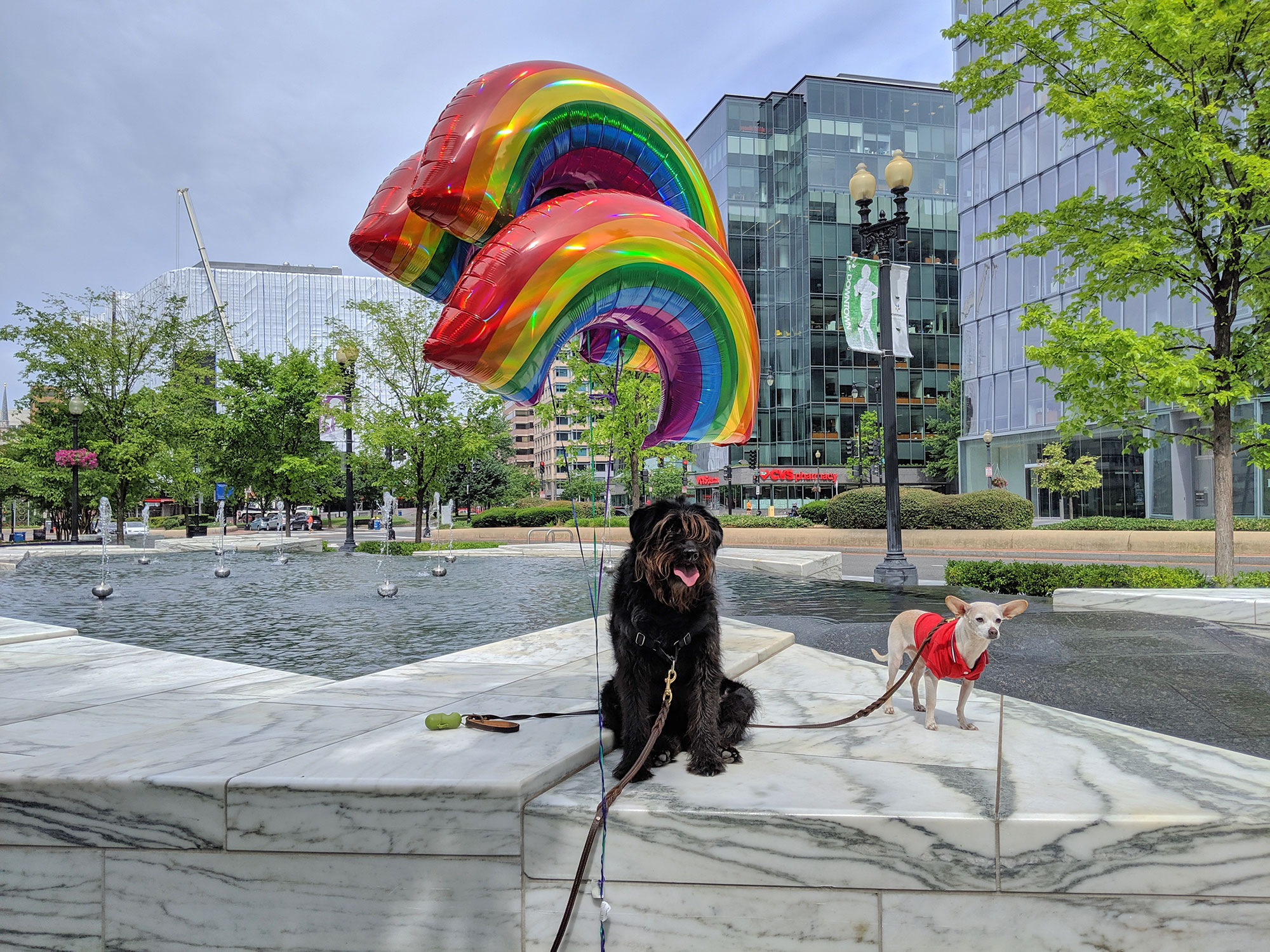 Ingrid and Gunter at a plaza near CityCenter DC with rainbow balloons.
