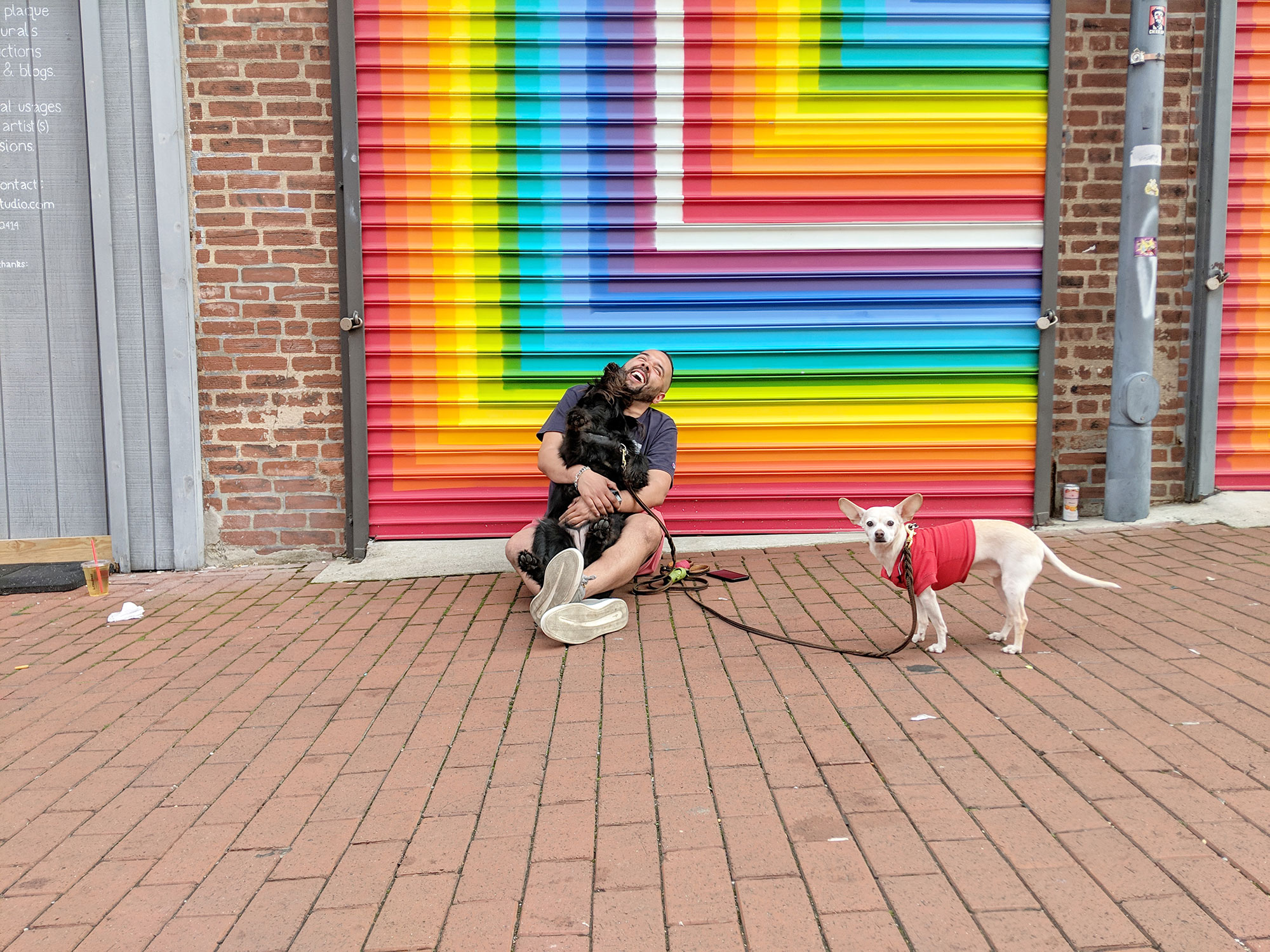 Dennis Jansen with Gunter the Chiweenie and Ingrid the Labradoodle in the DC Art Alley.