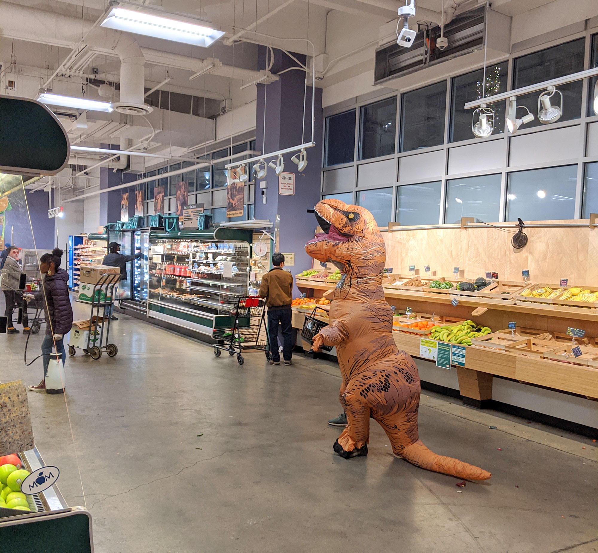 A dinosaur costume at Mom's Grocery during the first day of Coronavirus quarantine.