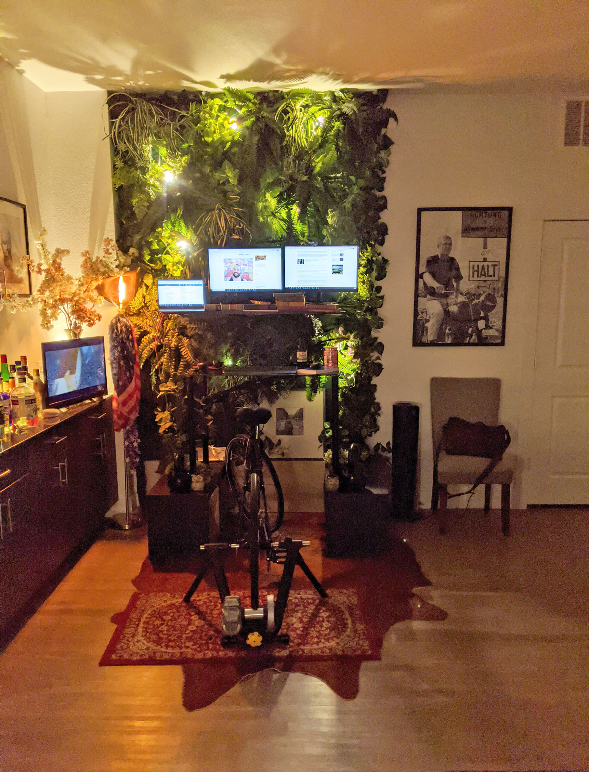 The faux green wall and biking desk.