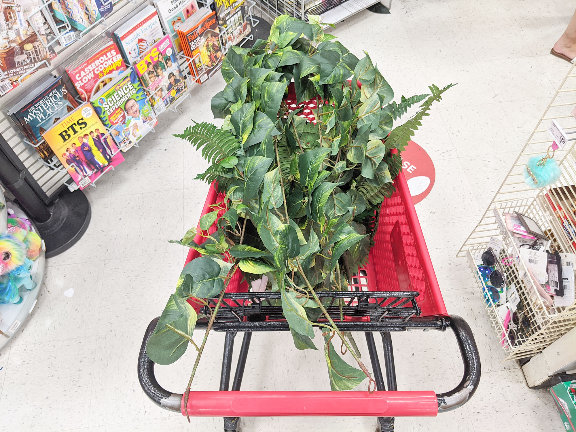 Buying faux green plants at Michaels during a sale.