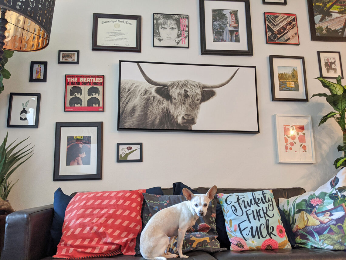 Gunter the Chiweenie and our new living room gallery wall.