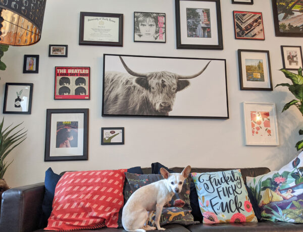 Gunter the Chiweenie and our new living room gallery wall.